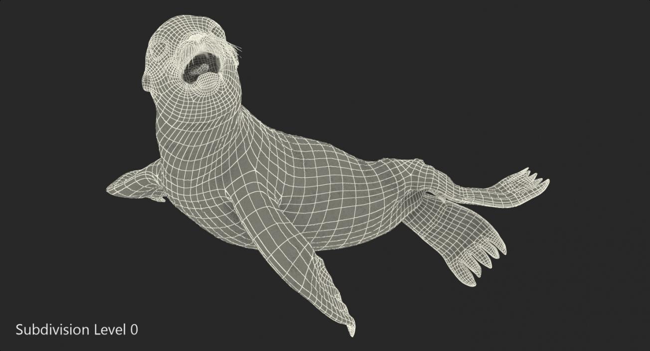 Sea Lion Baby Swimming Pose 3D