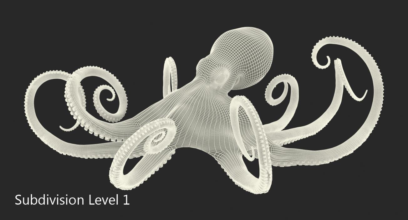 Blue Octopus Rigged 3D model