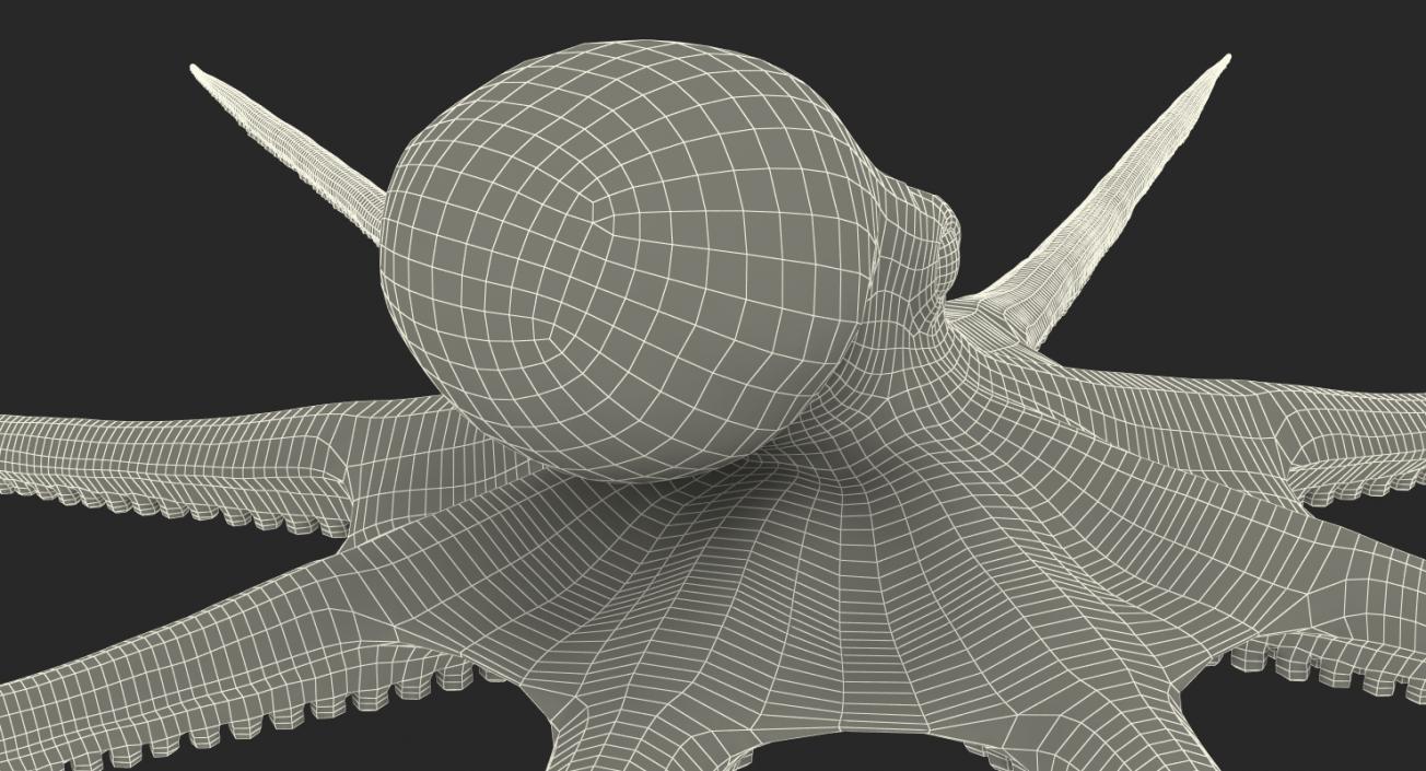 Blue Octopus Rigged 3D model