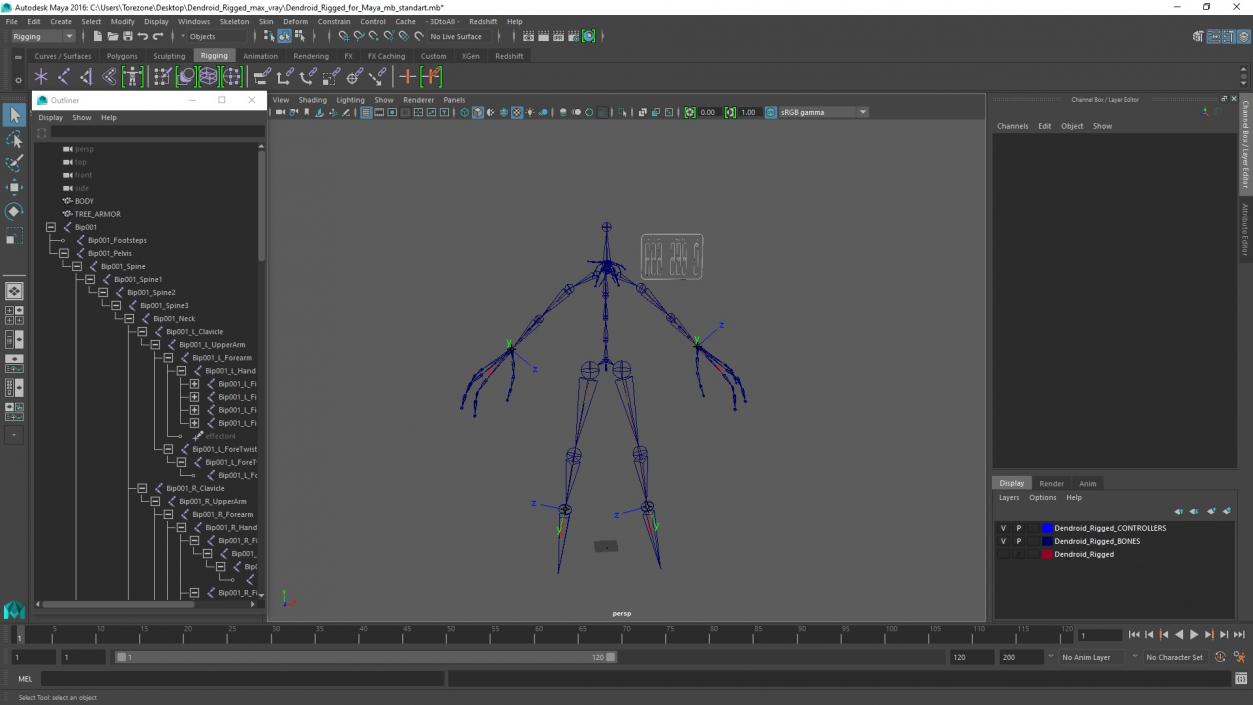 Dendroid Rigged for Maya 3D model