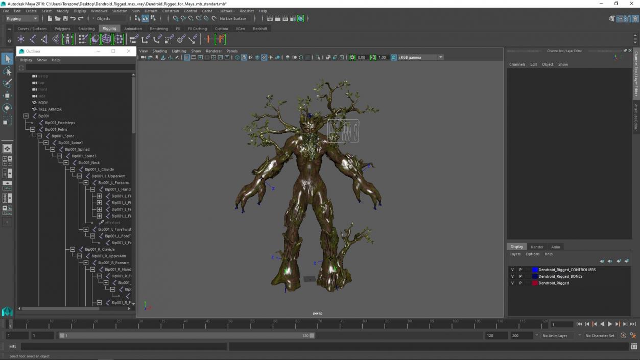 Dendroid Rigged for Maya 3D model