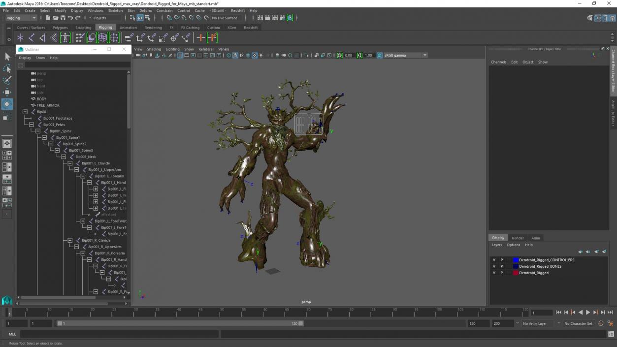 Dendroid Rigged for Maya 3D model