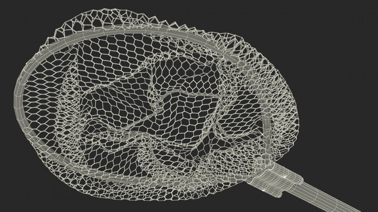 Fishing Landing Net 3D model