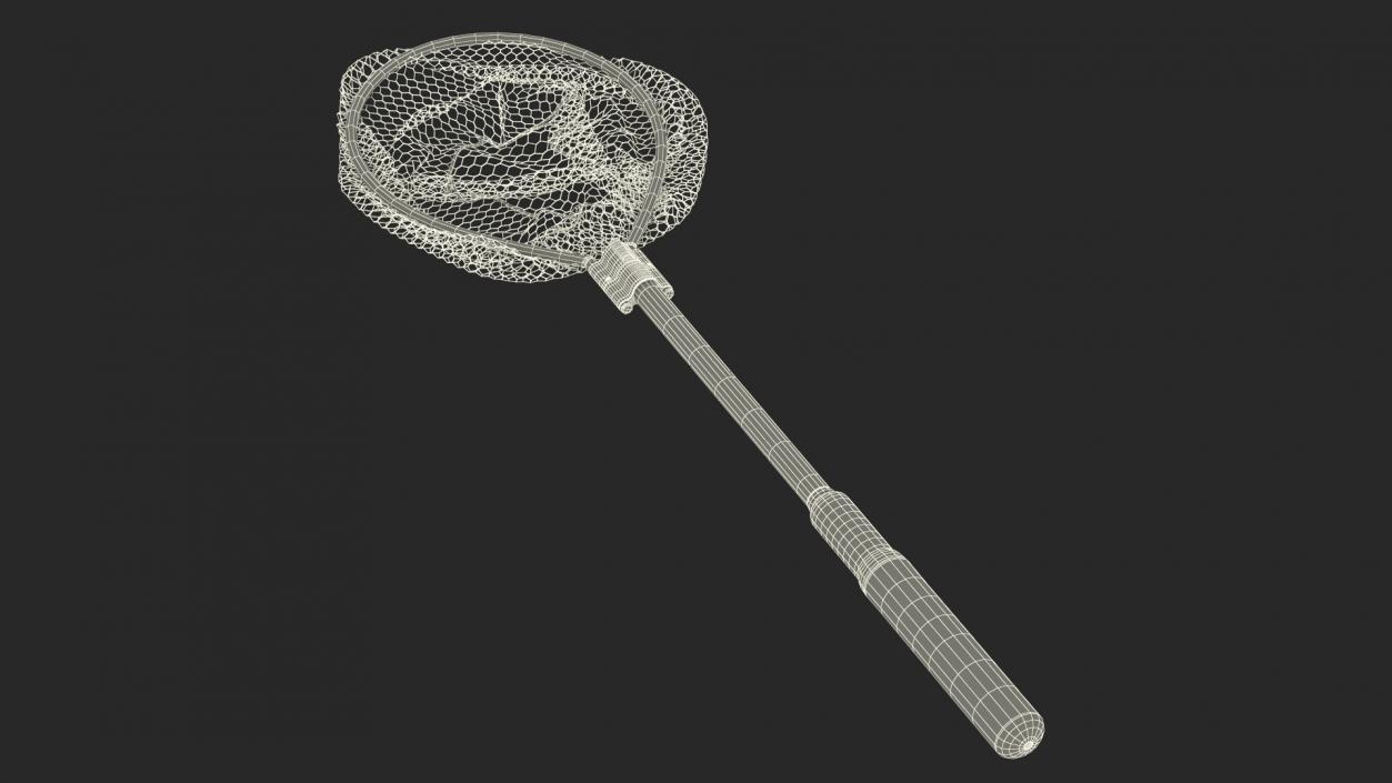 Fishing Landing Net 3D model