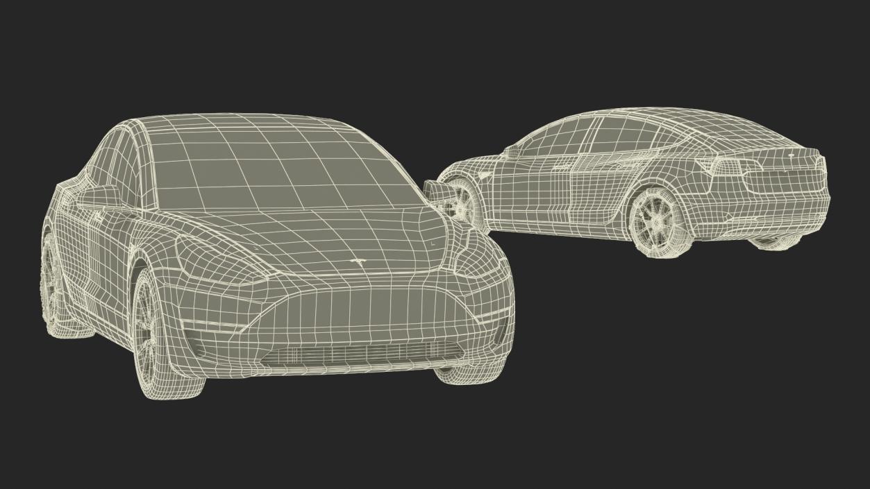 Snow Chains on Tesla Wheels 3D