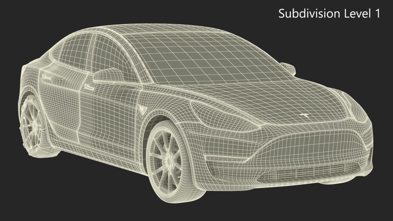 Snow Chains on Tesla Wheels 3D