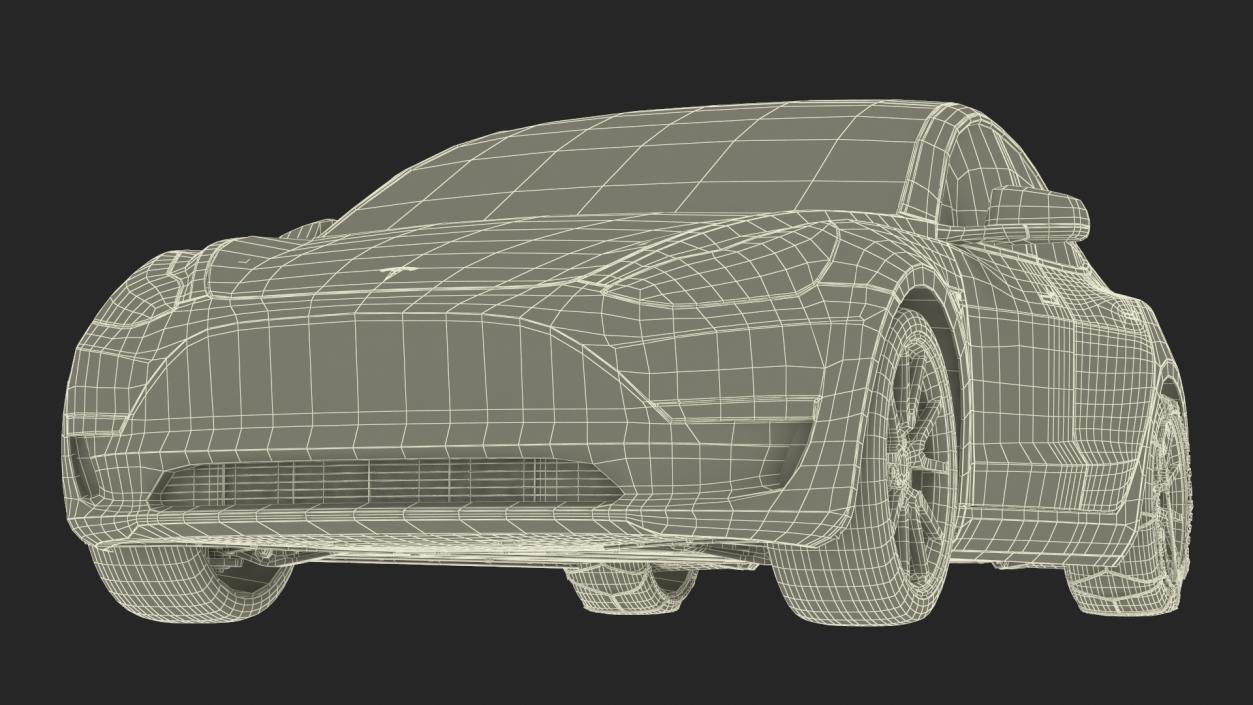 Snow Chains on Tesla Wheels 3D