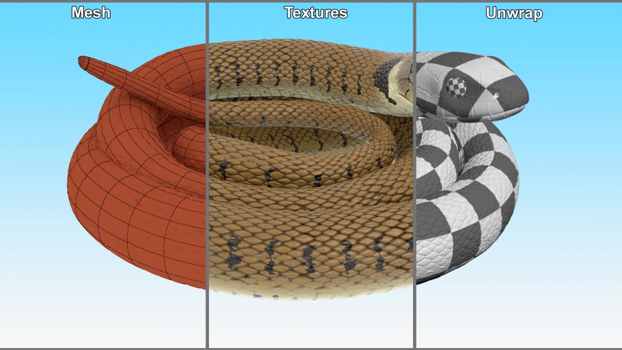 3D model Ringed Snake Brown Coiled for 3D Print 2