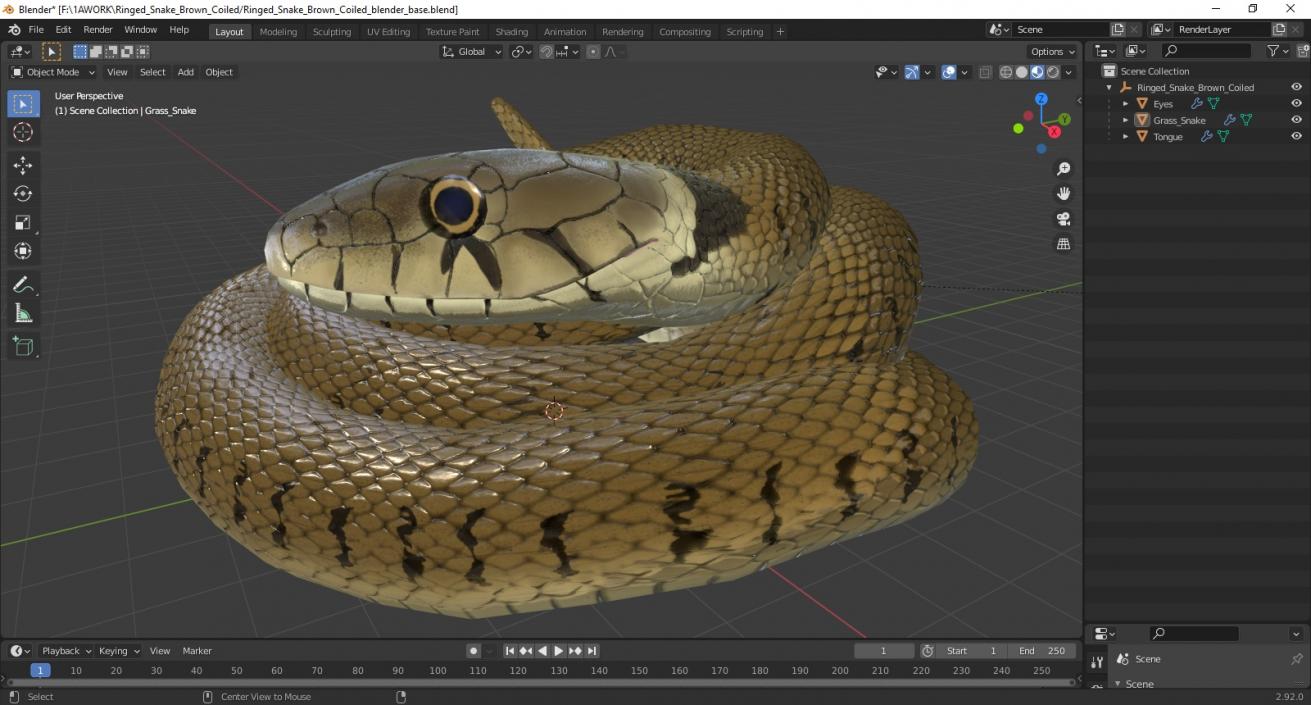 3D model Ringed Snake Brown Coiled for 3D Print 2