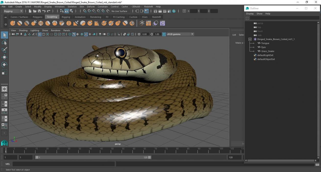 3D model Ringed Snake Brown Coiled for 3D Print 2