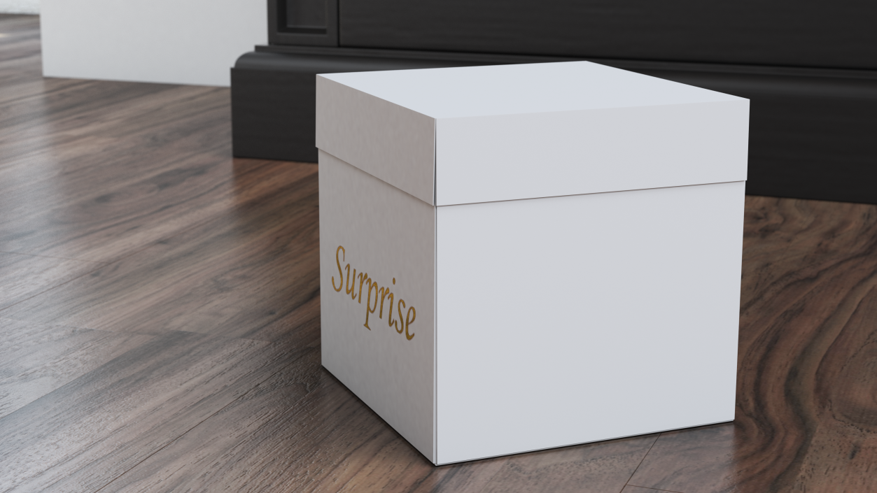 3D White Square Cardboard Gift Box