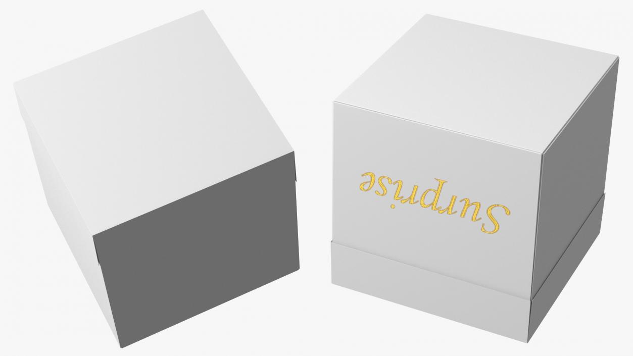 3D White Square Cardboard Gift Box