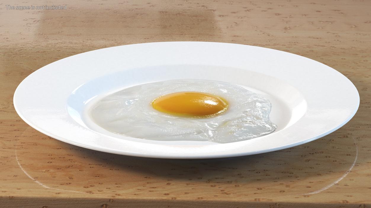 3D Fried Eggs On A Plate