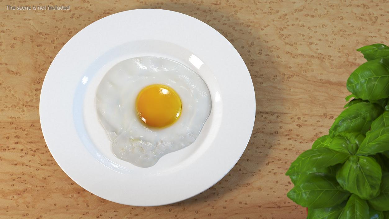 3D Fried Eggs On A Plate