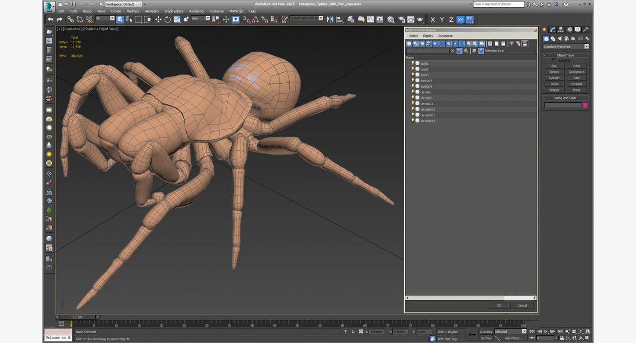 3D model Missulena Spider with Fur