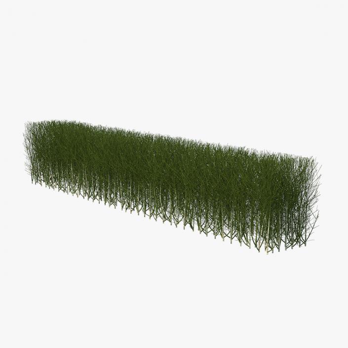 3D Shrub Branch Fence model