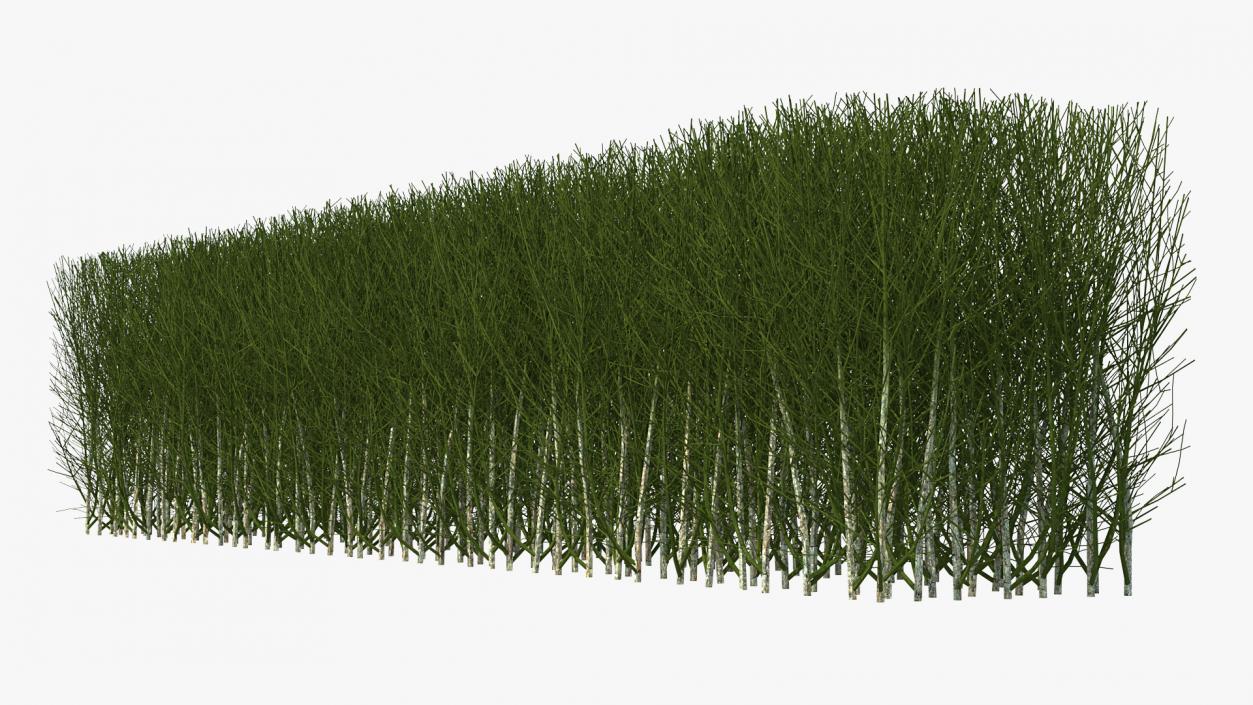 3D Shrub Branch Fence model