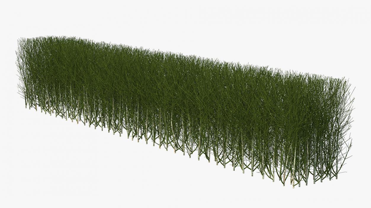 3D Shrub Branch Fence model