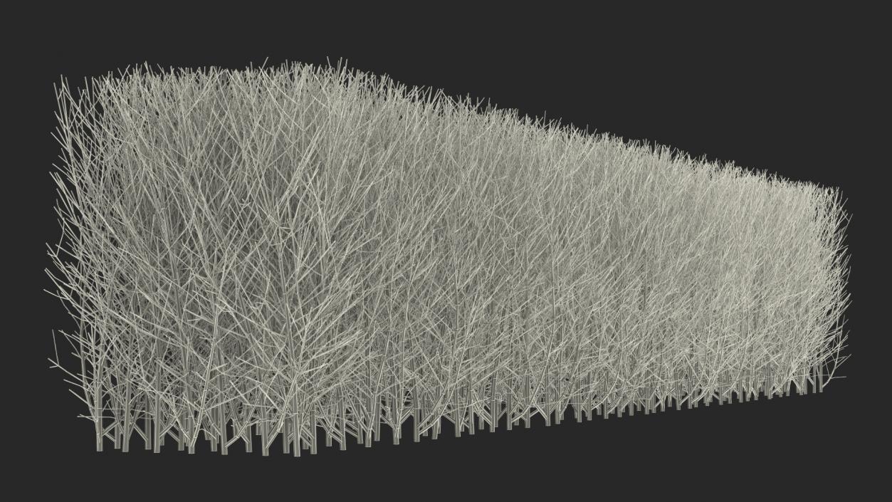 3D Shrub Branch Fence model