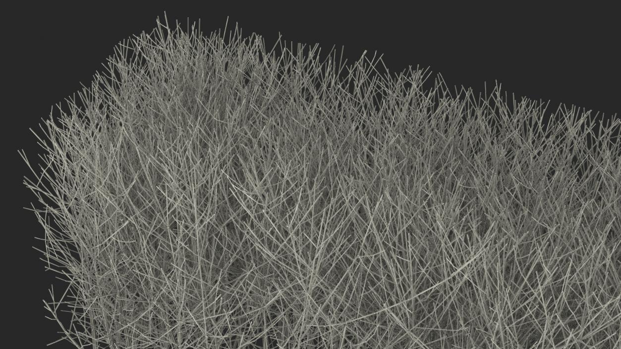 3D Shrub Branch Fence model