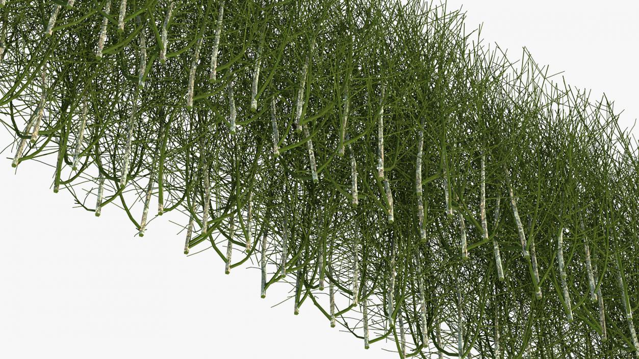 3D Shrub Branch Fence model