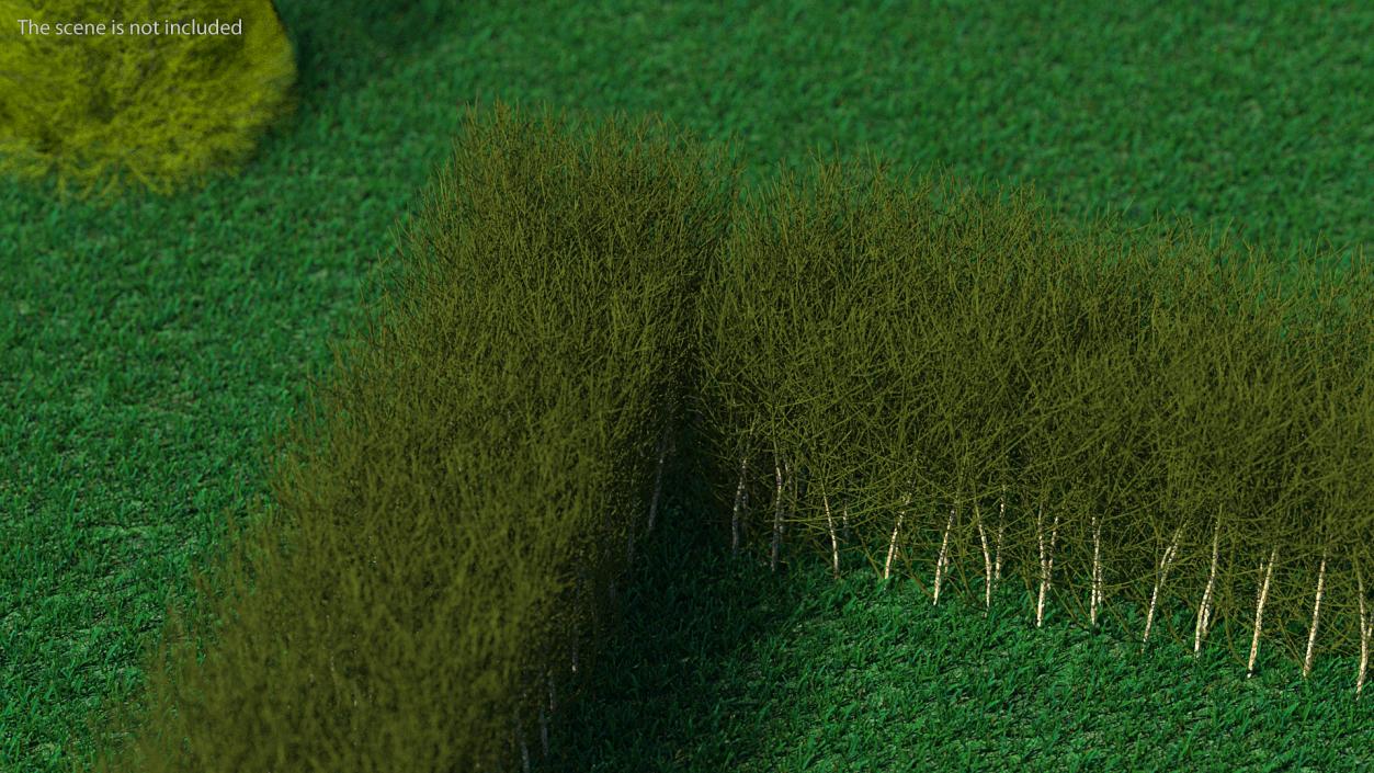 3D Shrub Branch Fence model