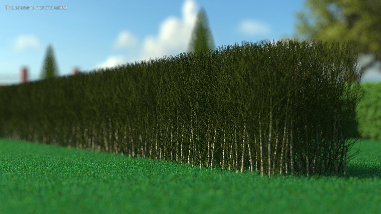 3D Shrub Branch Fence model