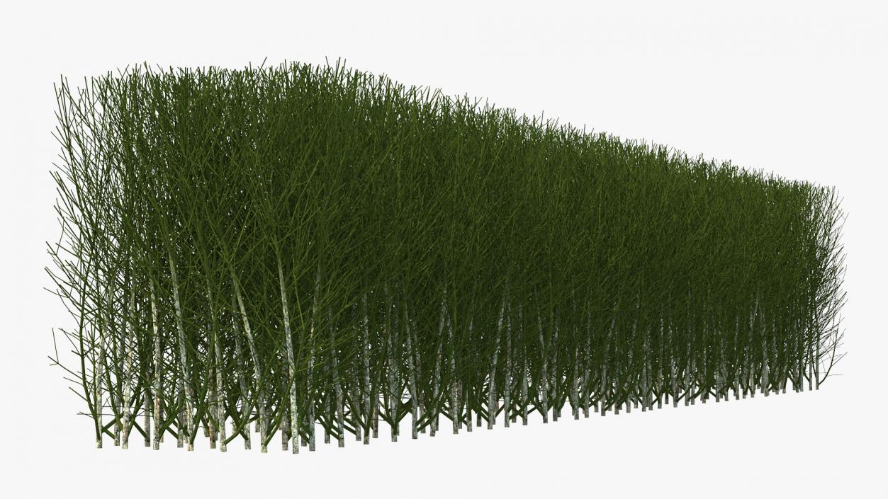 3D Shrub Branch Fence model