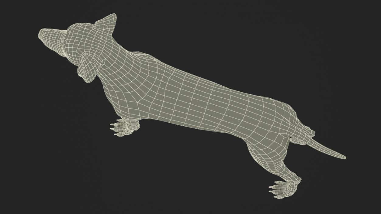 Dalmatian Dog Fur 2 3D model