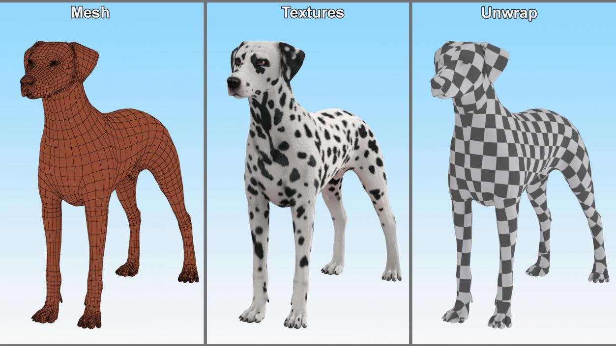 Dalmatian Dog Fur 2 3D model