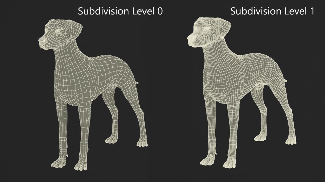 Dalmatian Dog Fur 2 3D model