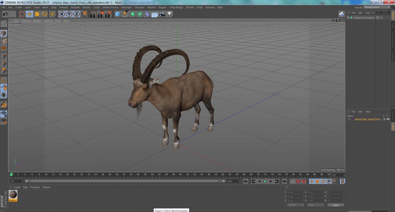 Alpine Ibex Stand Pose 2 3D model