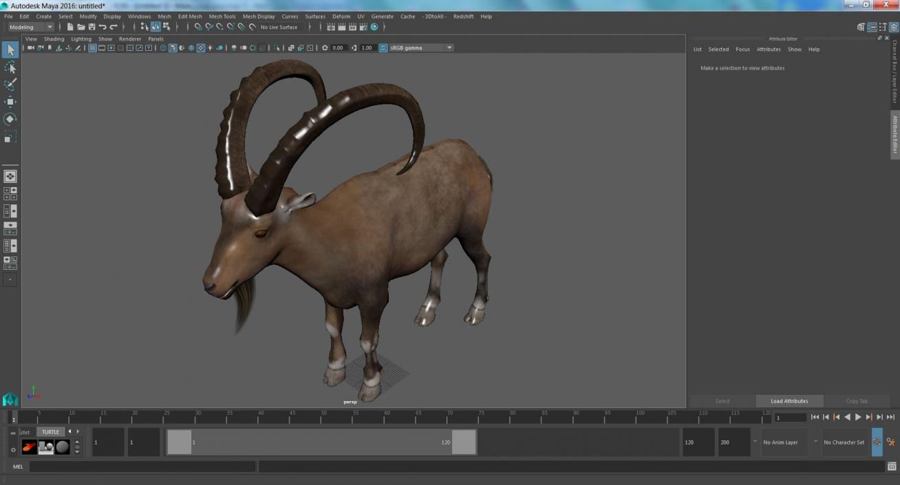 Alpine Ibex Stand Pose 2 3D model