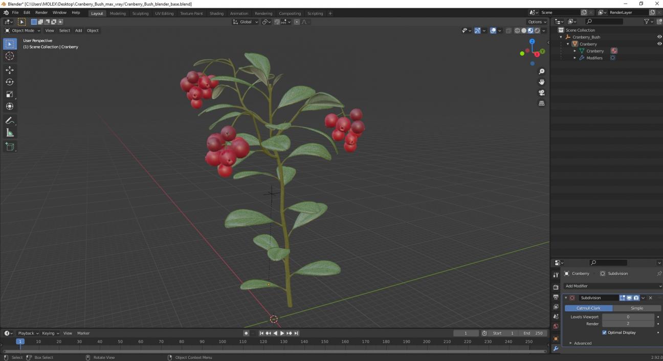 Cranberry Bush 3D model