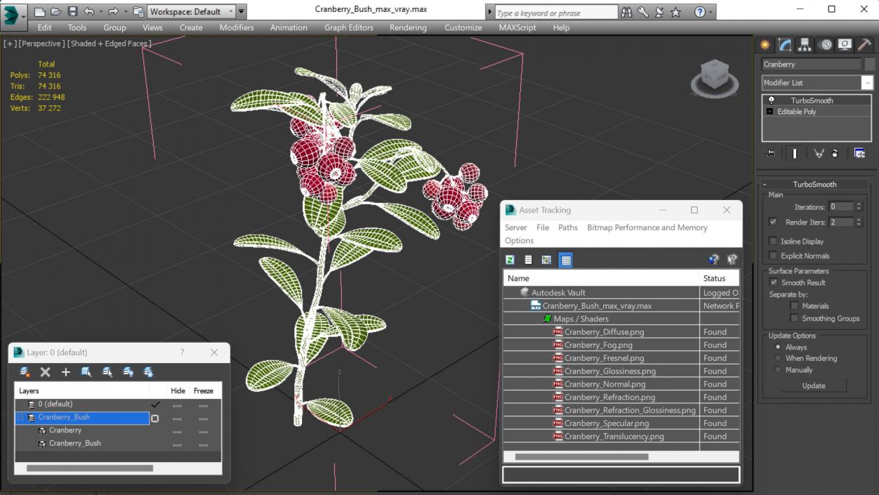 Cranberry Bush 3D model