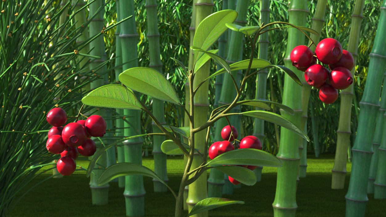 Cranberry Bush 3D model