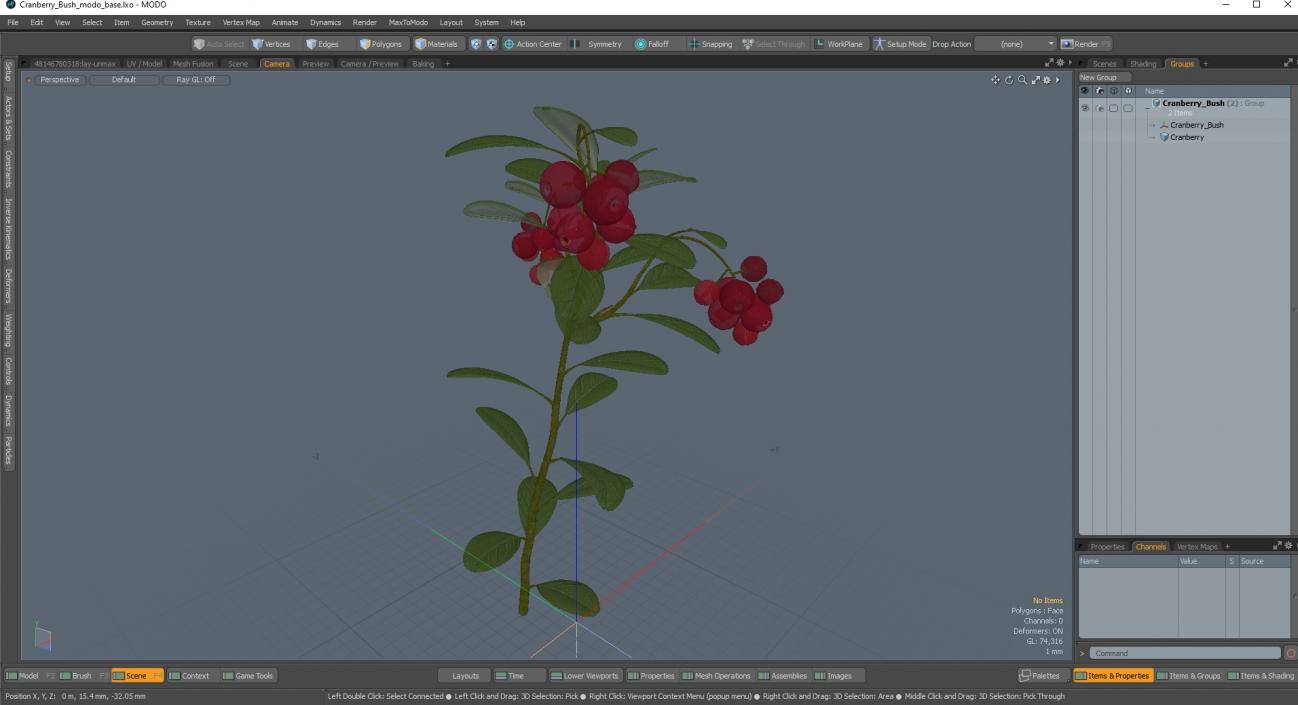 Cranberry Bush 3D model