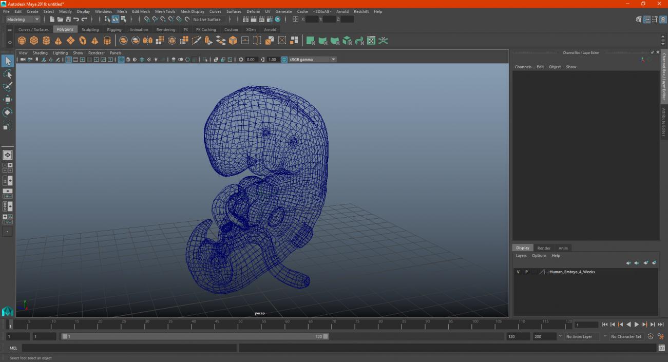 3D model Human Embryo 4 Weeks