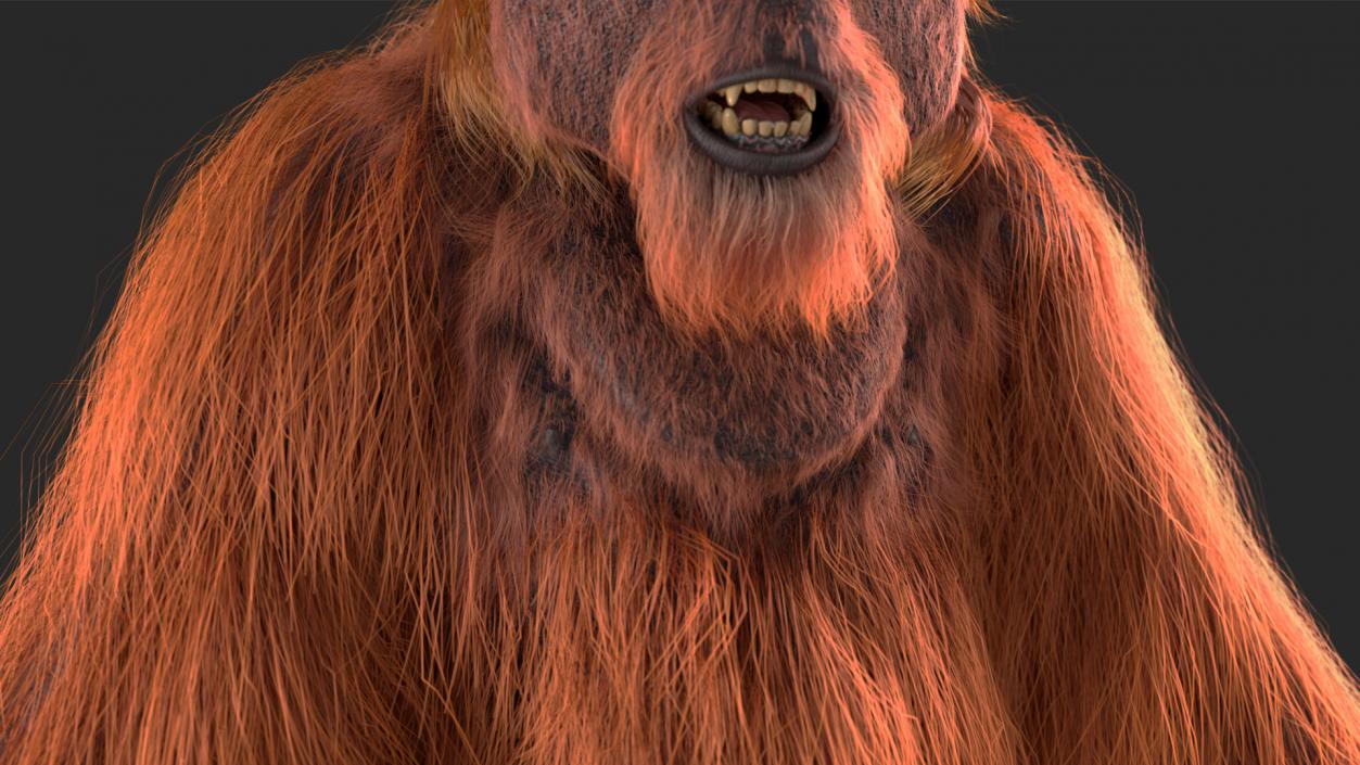 3D model Orangutan Rigged Fur