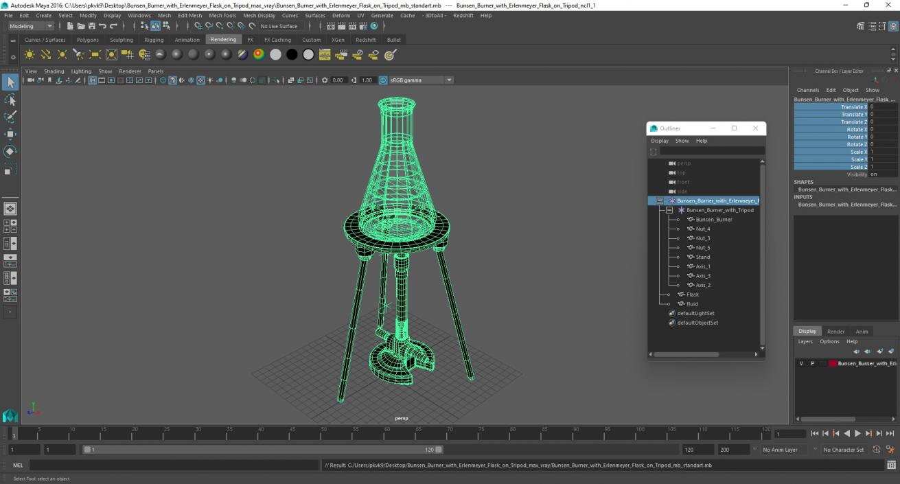 3D model Bunsen Burner with Erlenmeyer Flask on Tripod