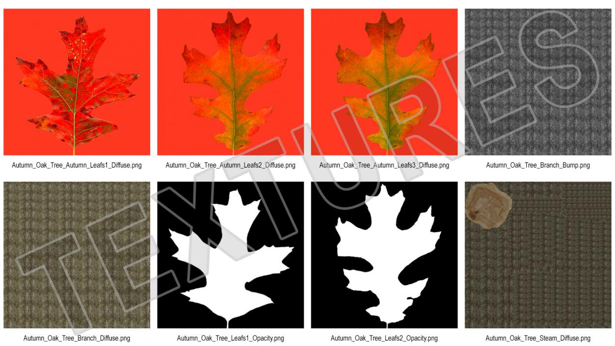 Autumn Oak Tree 2 3D