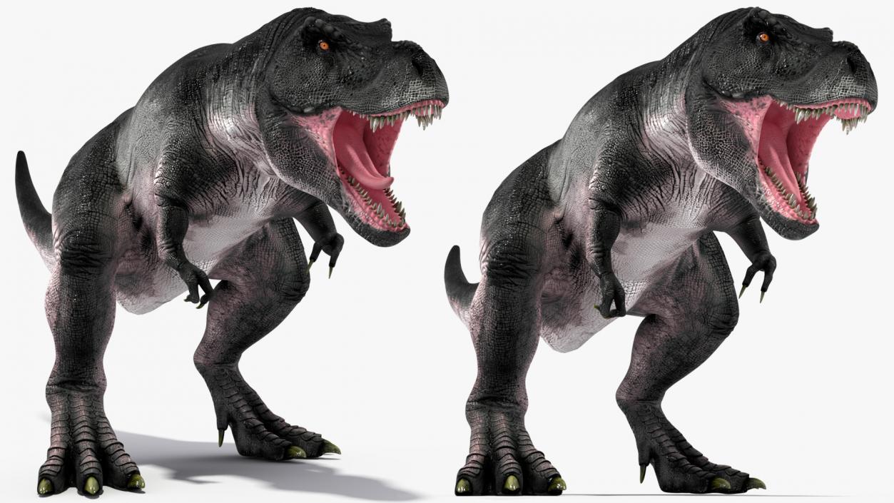 3D T Rex Roaring Animated Rigged for Cinema 4D model