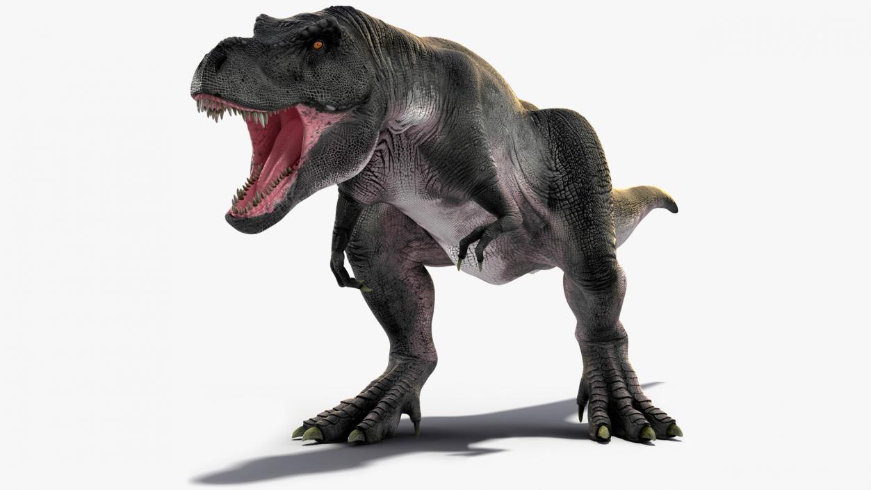 3D T Rex Roaring Animated Rigged for Cinema 4D model