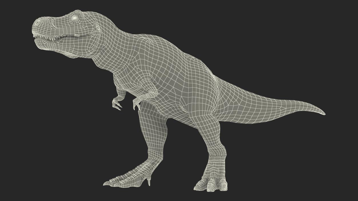 3D T Rex Roaring Animated Rigged for Cinema 4D model