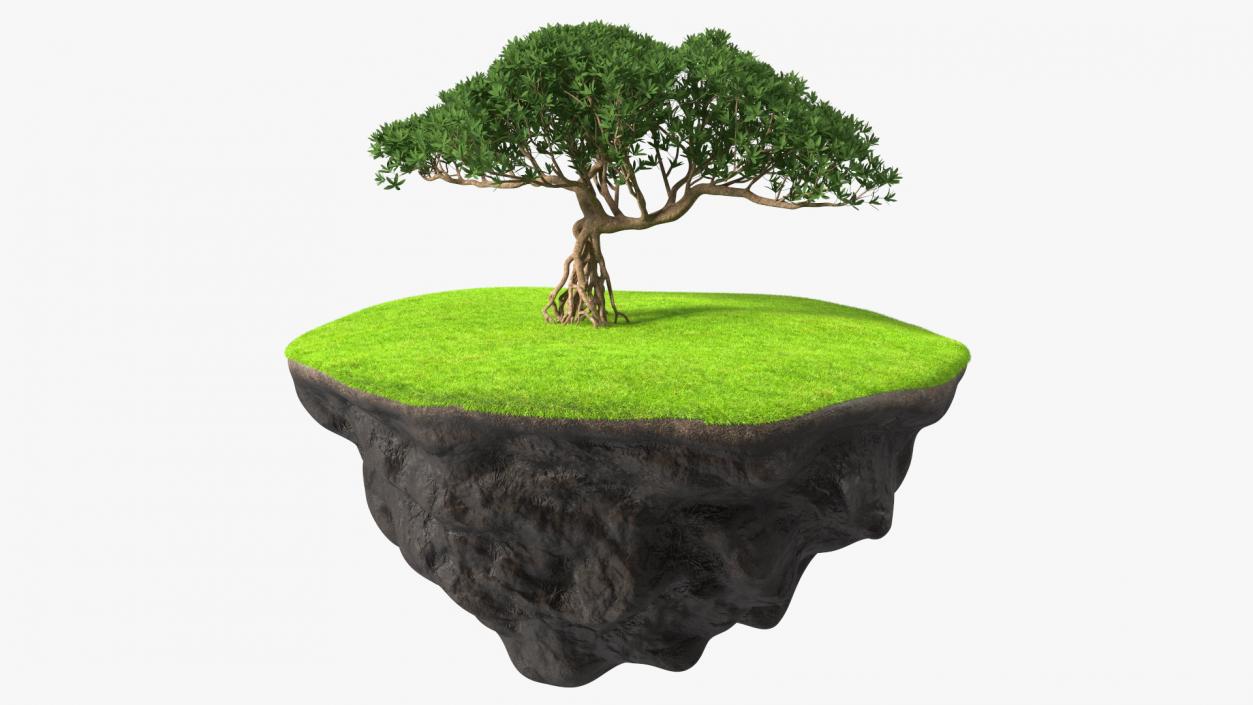 3D model Round Soil Ground Cross Section with Tree Fur