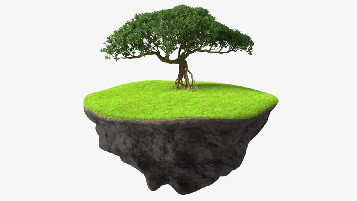 3D model Round Soil Ground Cross Section with Tree Fur