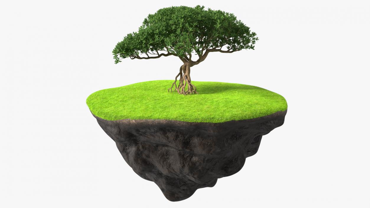 3D model Round Soil Ground Cross Section with Tree Fur