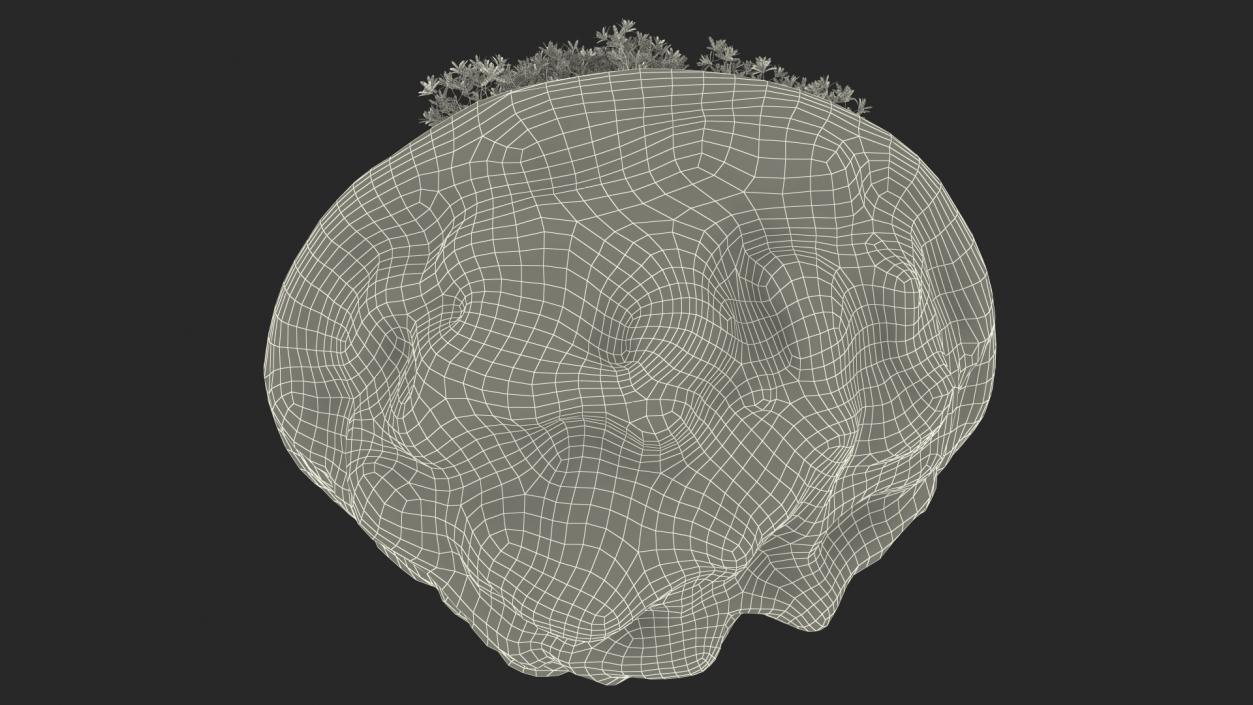 3D model Round Soil Ground Cross Section with Tree Fur