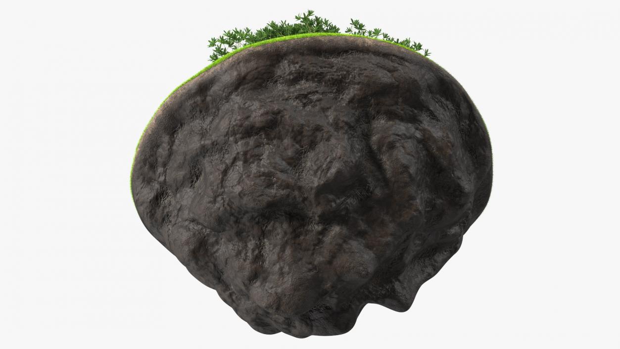 3D model Round Soil Ground Cross Section with Tree Fur