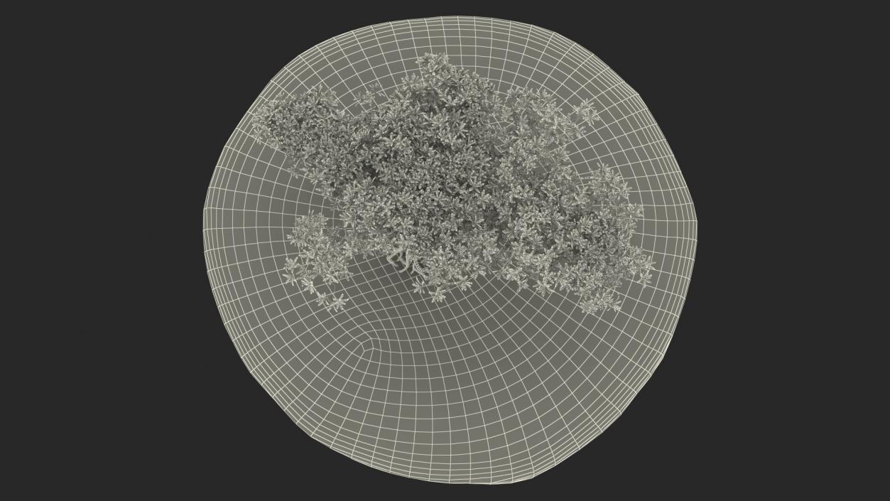 3D model Round Soil Ground Cross Section with Tree Fur